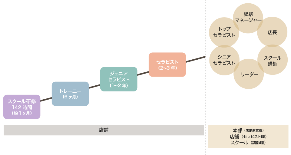 スクール研修142時間(約1ヶ月)・トレーニー(6ヶ月)・ジュニアセラピスト(1~2年)・セラピスト(2~3年)